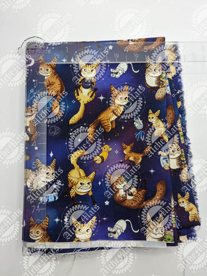 Preorder R30 Fabric/Vinyl Space Cats