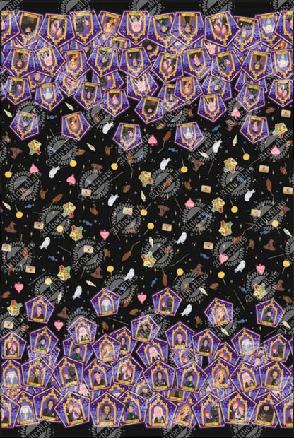 Preorder R30 FABRIC/VINYL HP Chocolate Frog Double Border