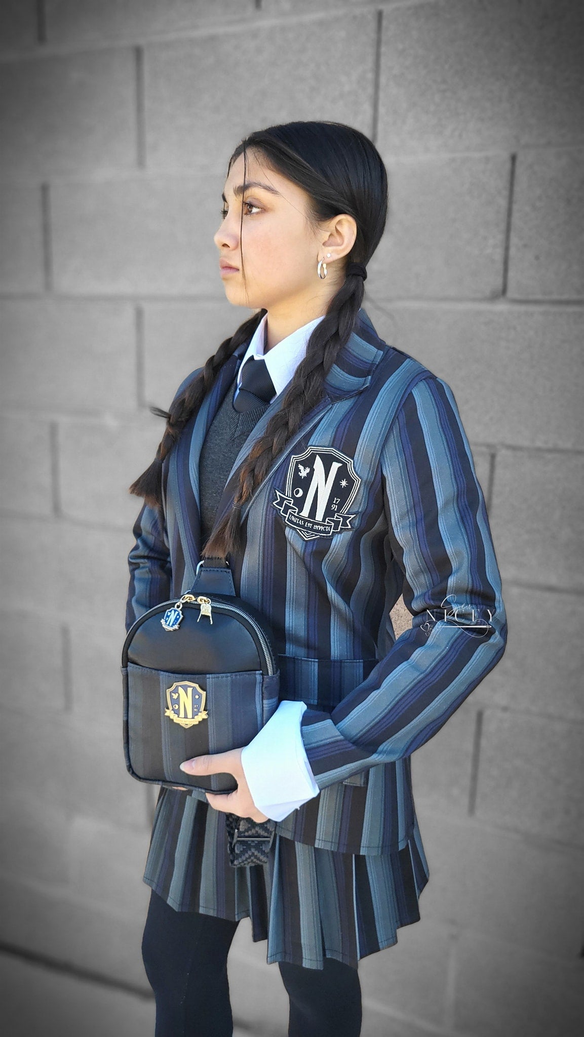 Preorder R30 FABRIC/VINYL Nevermore Stripe Coordinate
