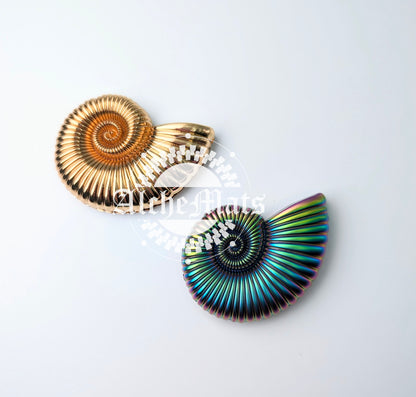 RETAIL Hardware Sea Shell Magnet INDIVIDUAL